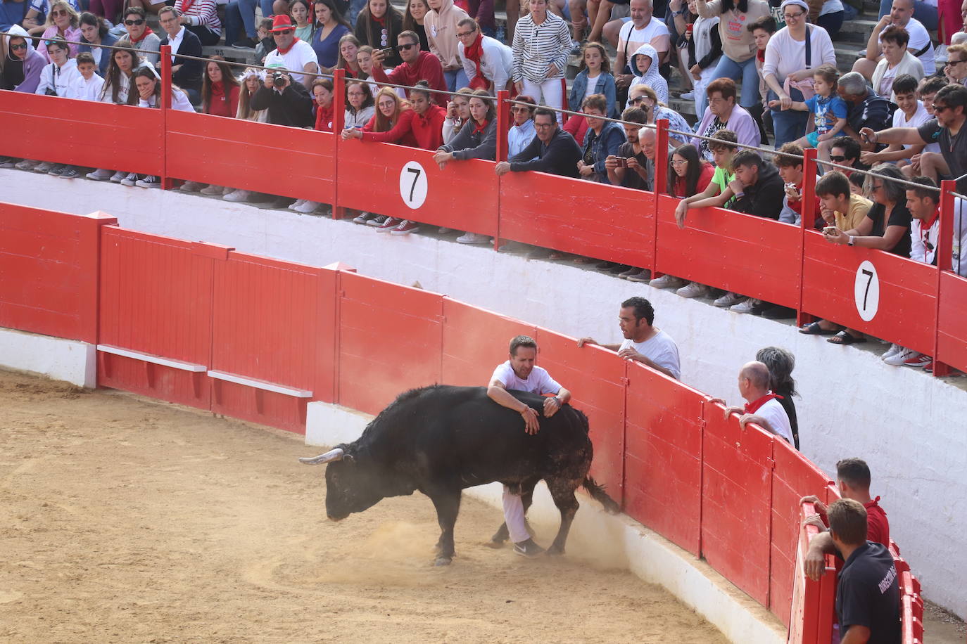 Fotos: Los festejos menores triunfan en las fiestas de Alfaro