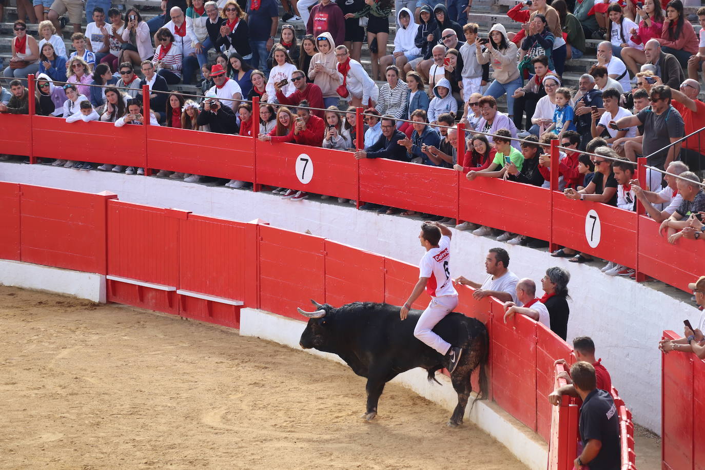 Fotos: Los festejos menores triunfan en las fiestas de Alfaro