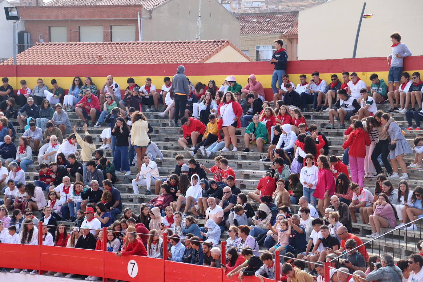 Fotos: Los festejos menores triunfan en las fiestas de Alfaro