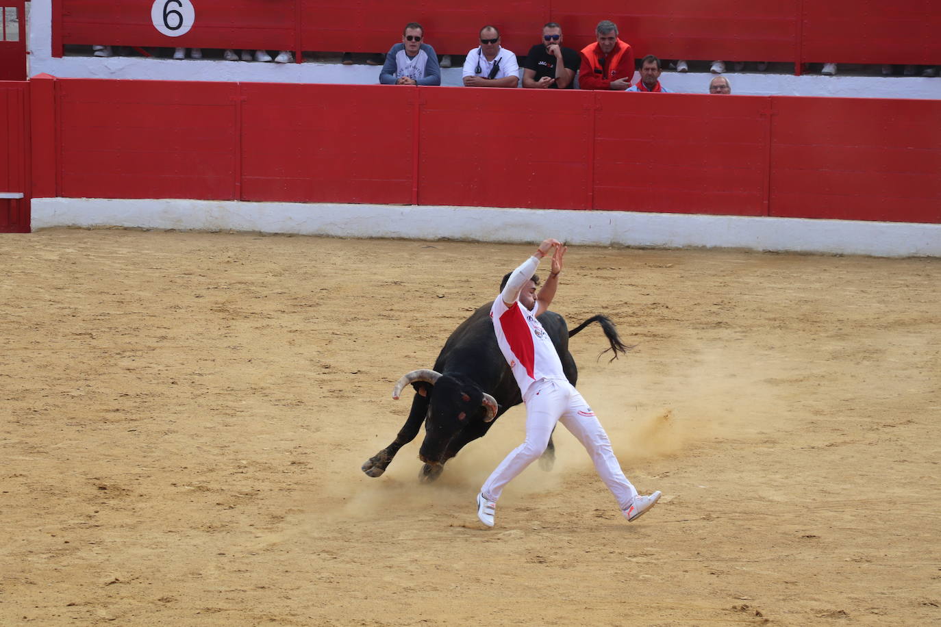 Fotos: Los festejos menores triunfan en las fiestas de Alfaro