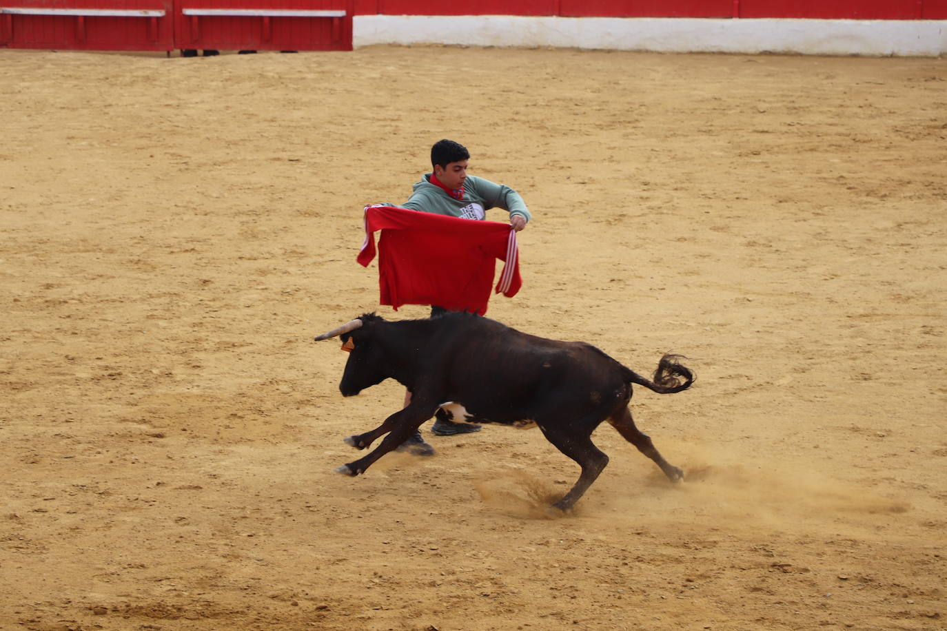 Fotos: Los festejos menores triunfan en las fiestas de Alfaro