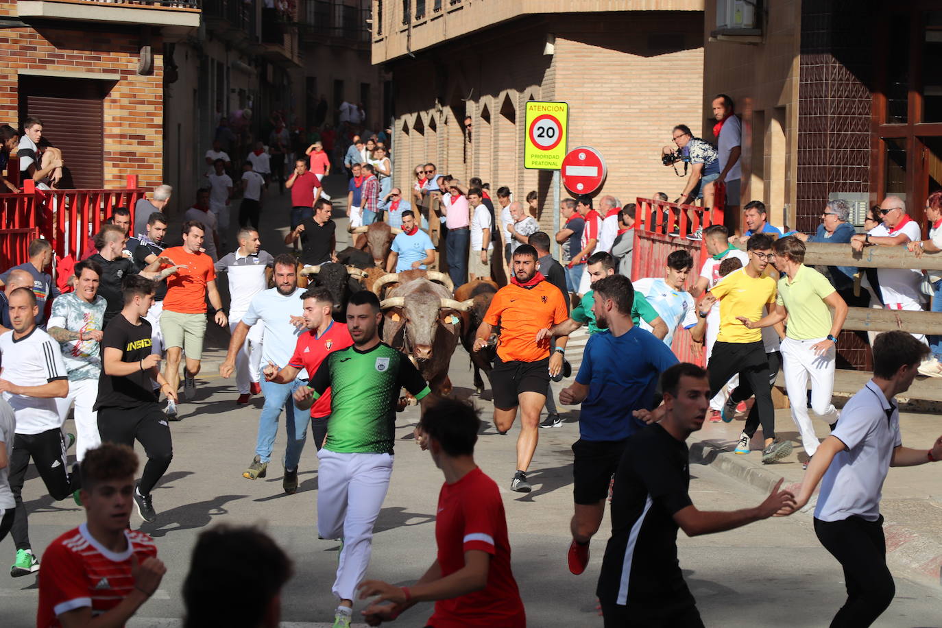 Fotos: Los festejos menores triunfan en las fiestas de Alfaro