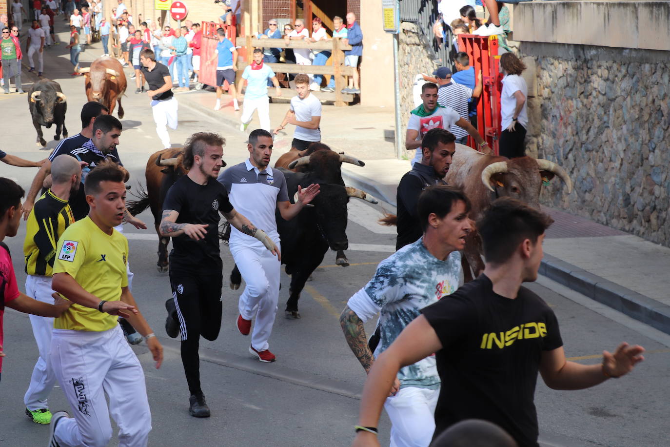 Fotos: Los festejos menores triunfan en las fiestas de Alfaro