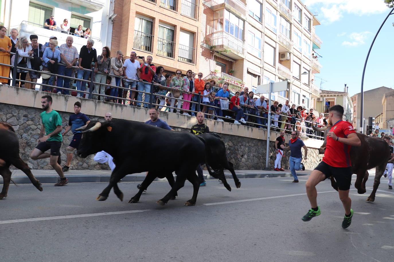 Fotos: Los festejos menores triunfan en las fiestas de Alfaro