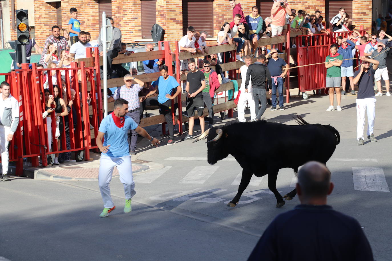 Fotos: Los festejos menores triunfan en las fiestas de Alfaro