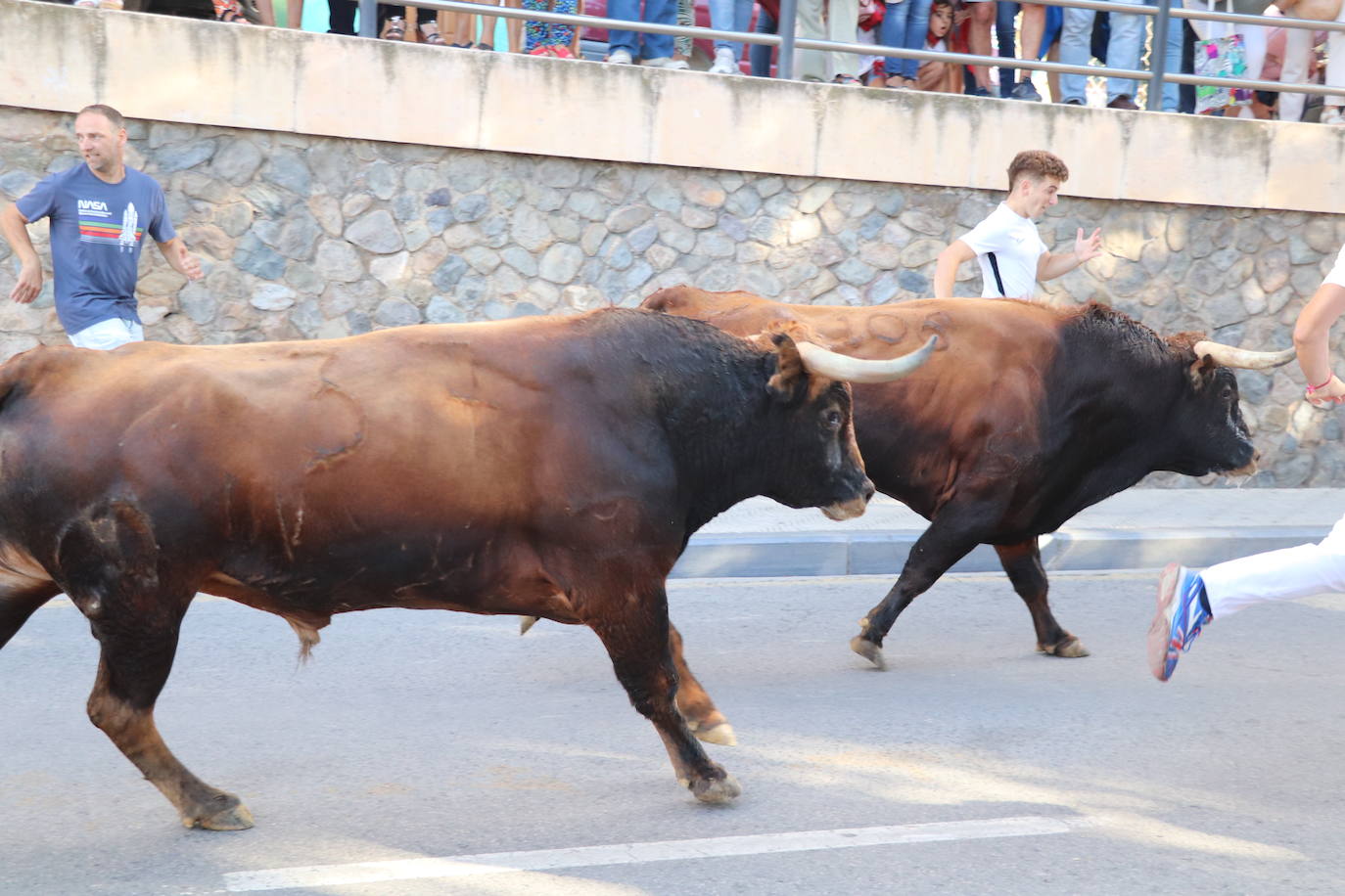 Fotos: Los festejos menores triunfan en las fiestas de Alfaro