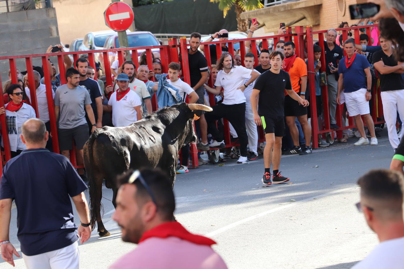 Fotos: Los festejos menores triunfan en las fiestas de Alfaro