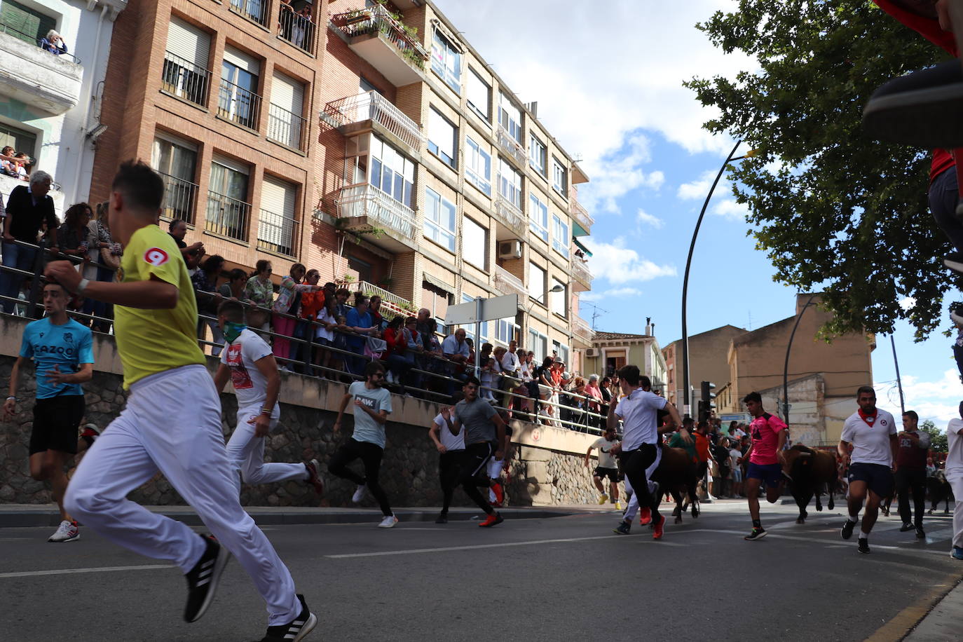 Fotos: Los festejos menores triunfan en las fiestas de Alfaro