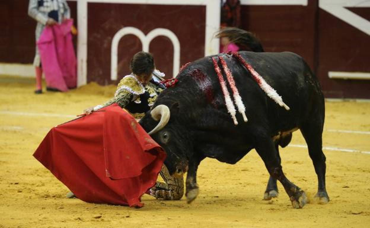 Roca Rey, en la feria de San Mateo de 2021. 