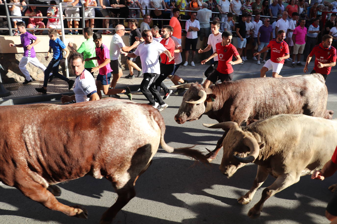 Fotos: Alfaro: último día de fiestas