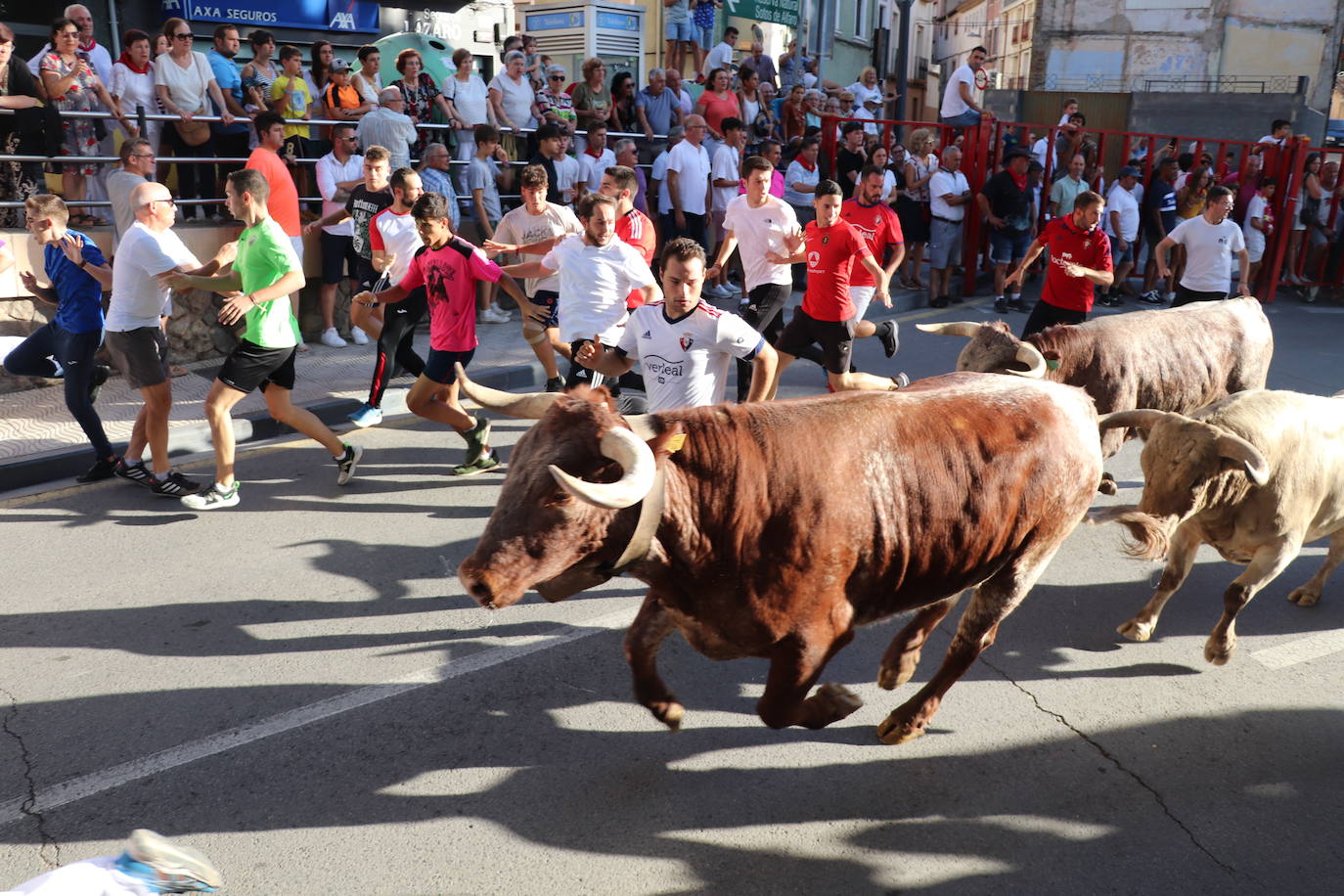 Fotos: Alfaro: último día de fiestas