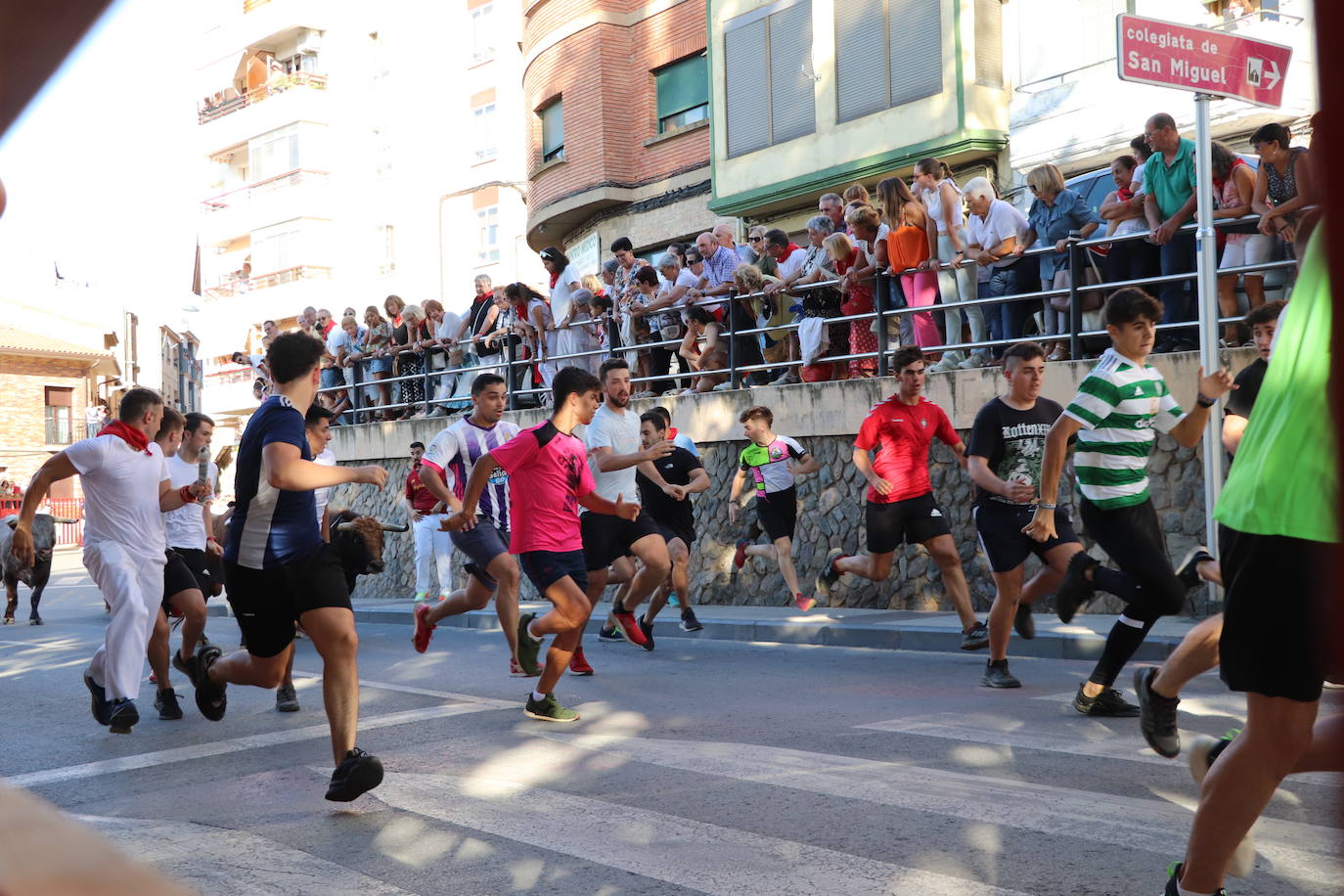 Fotos: Alfaro: último día de fiestas