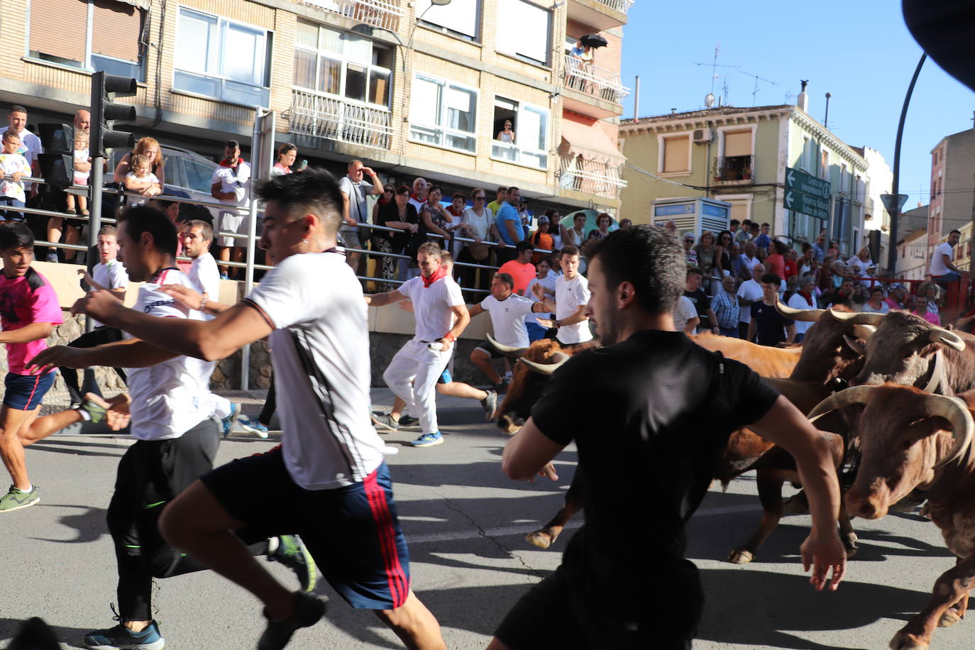 Fotos: Alfaro: último día de fiestas