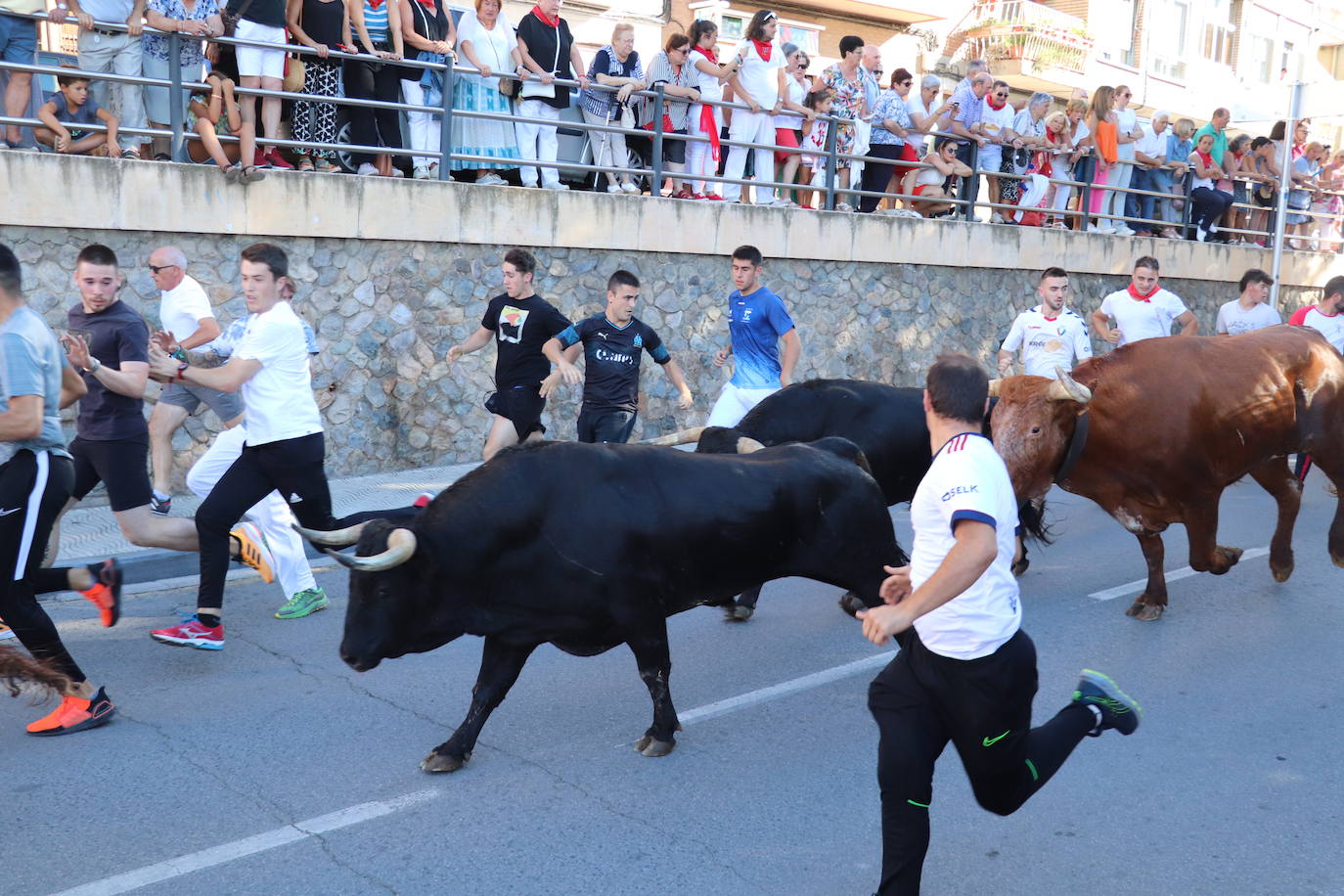 Fotos: Alfaro: último día de fiestas