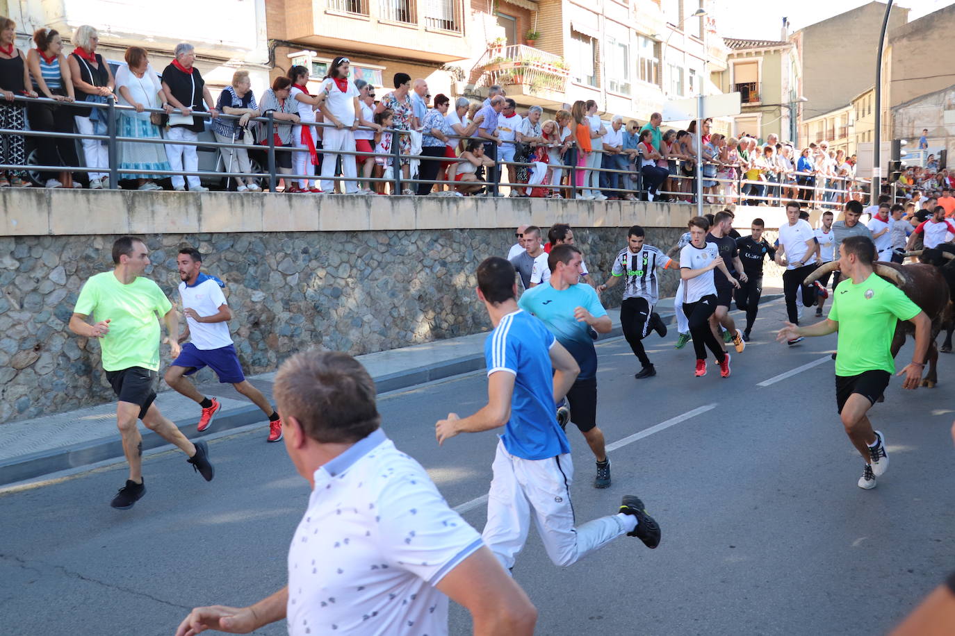 Fotos: Alfaro: último día de fiestas