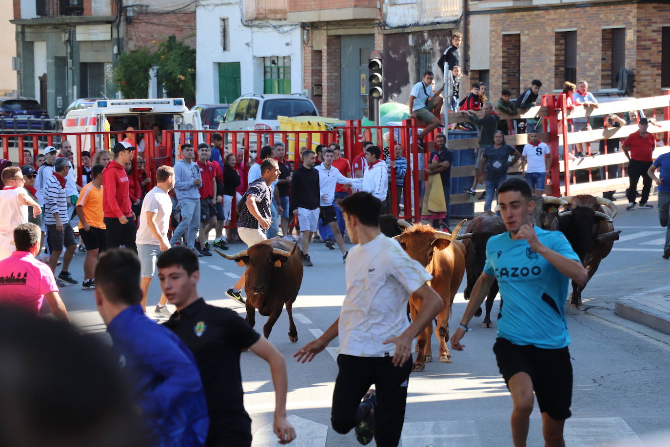 Fotos: Día joven en las fiestas de Alfaro