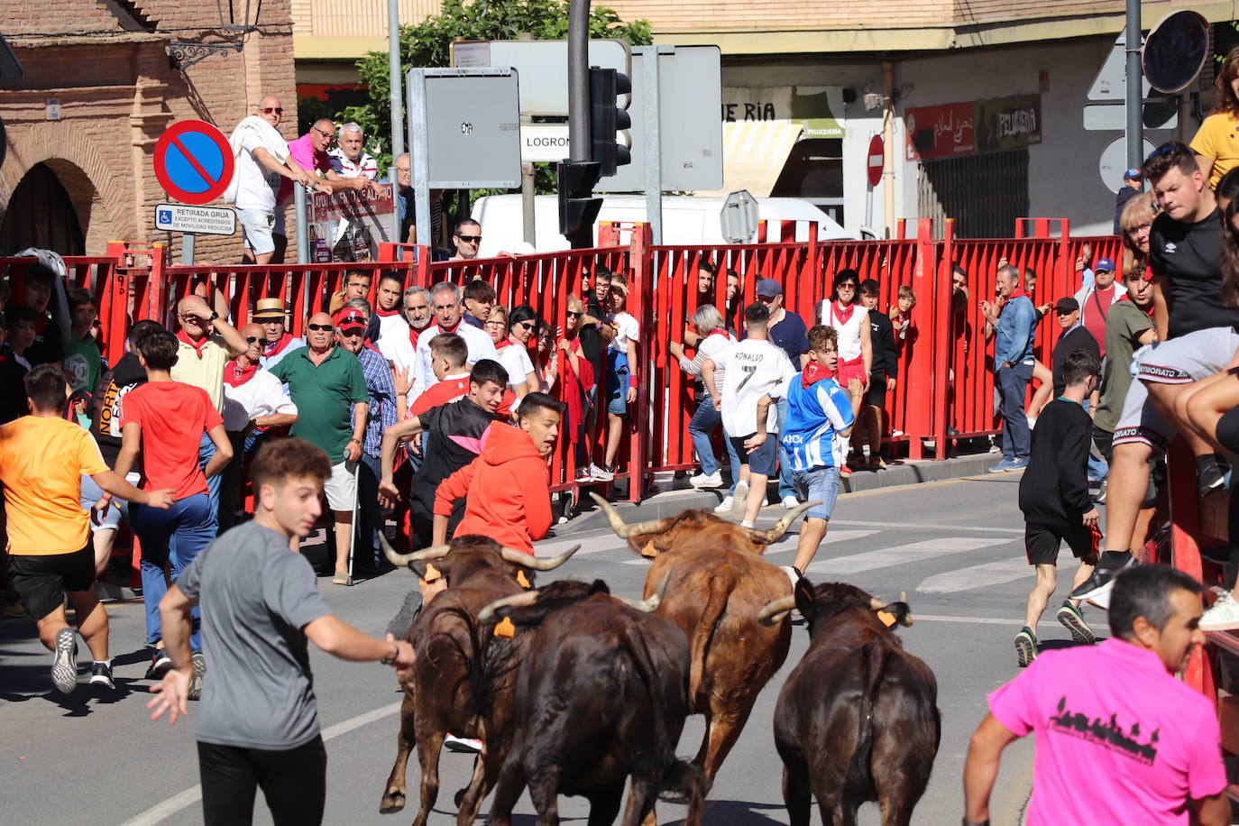 Fotos: Día joven en las fiestas de Alfaro