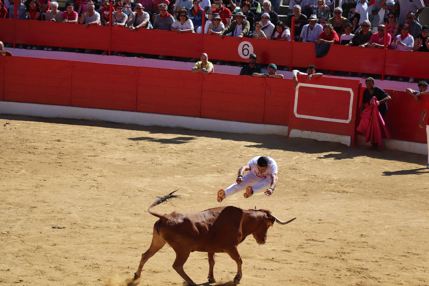 Fotos: Día joven en las fiestas de Alfaro