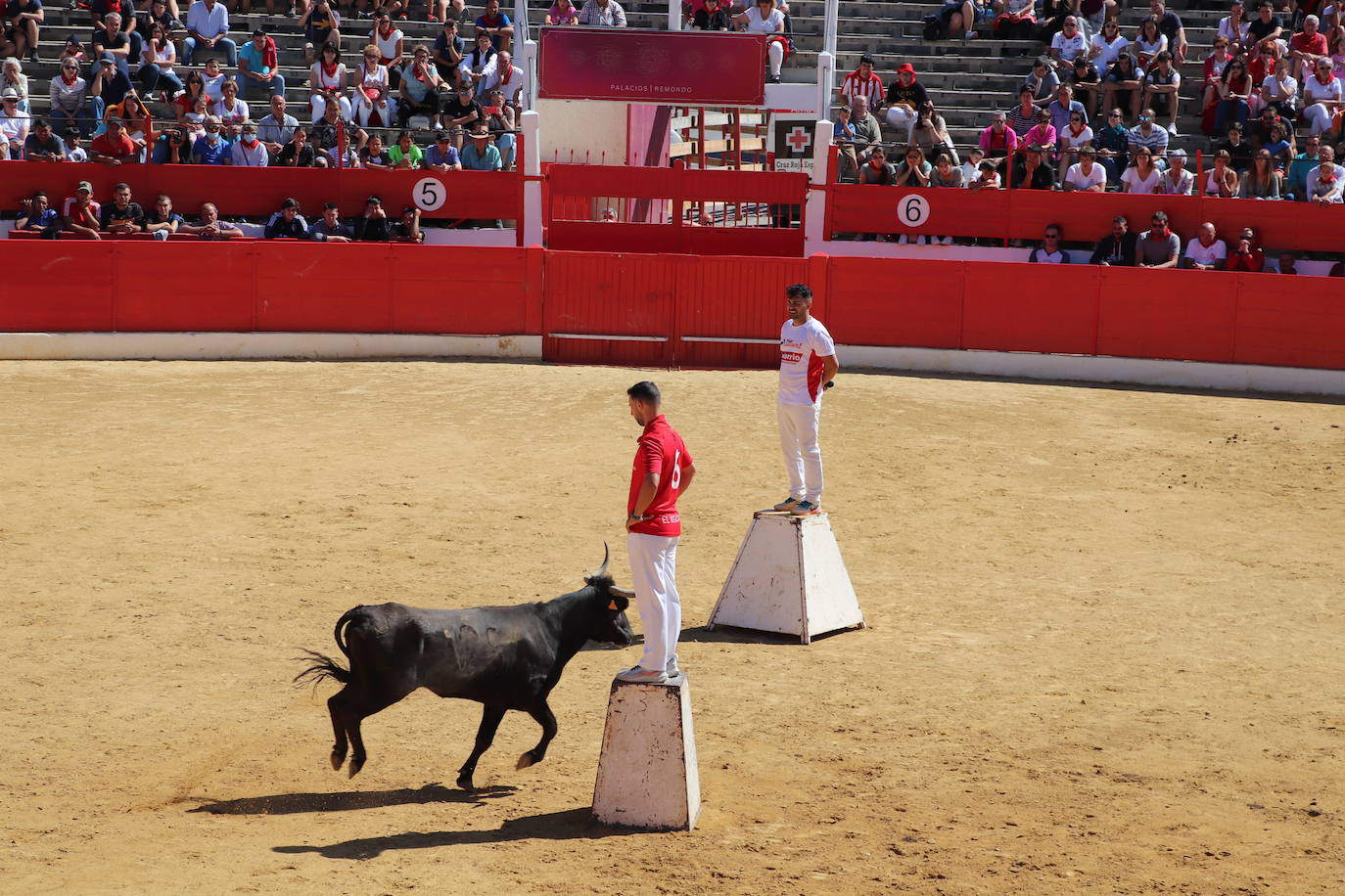 Fotos: Día joven en las fiestas de Alfaro