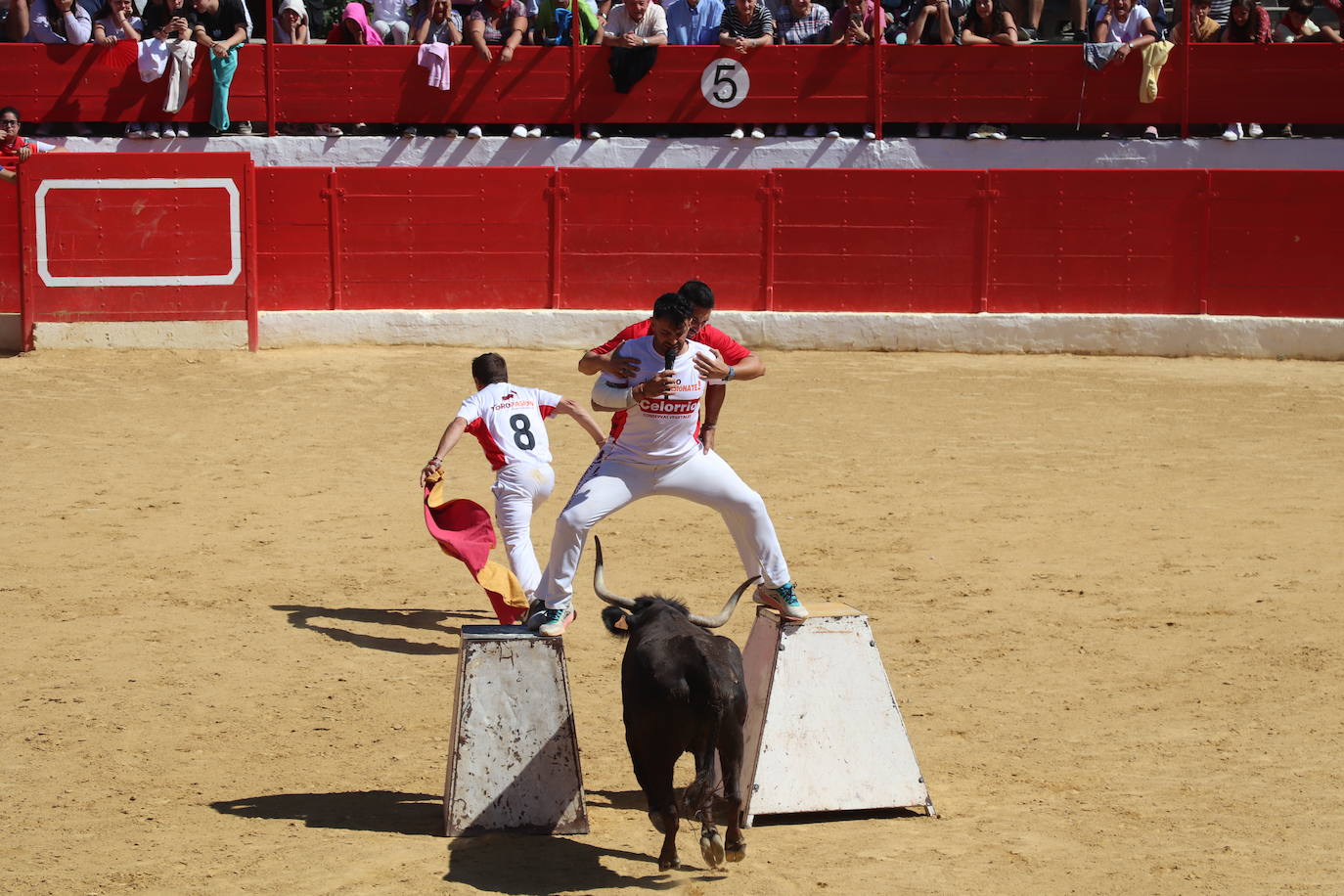 Fotos: Día joven en las fiestas de Alfaro