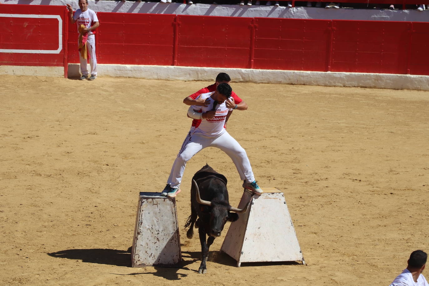 Fotos: Día joven en las fiestas de Alfaro