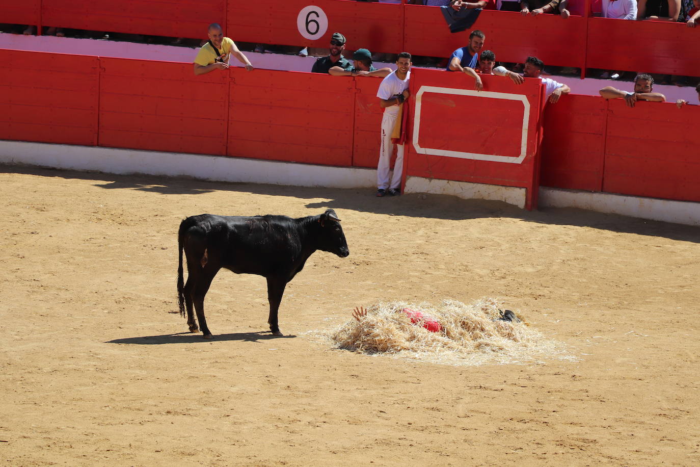 Fotos: Día joven en las fiestas de Alfaro