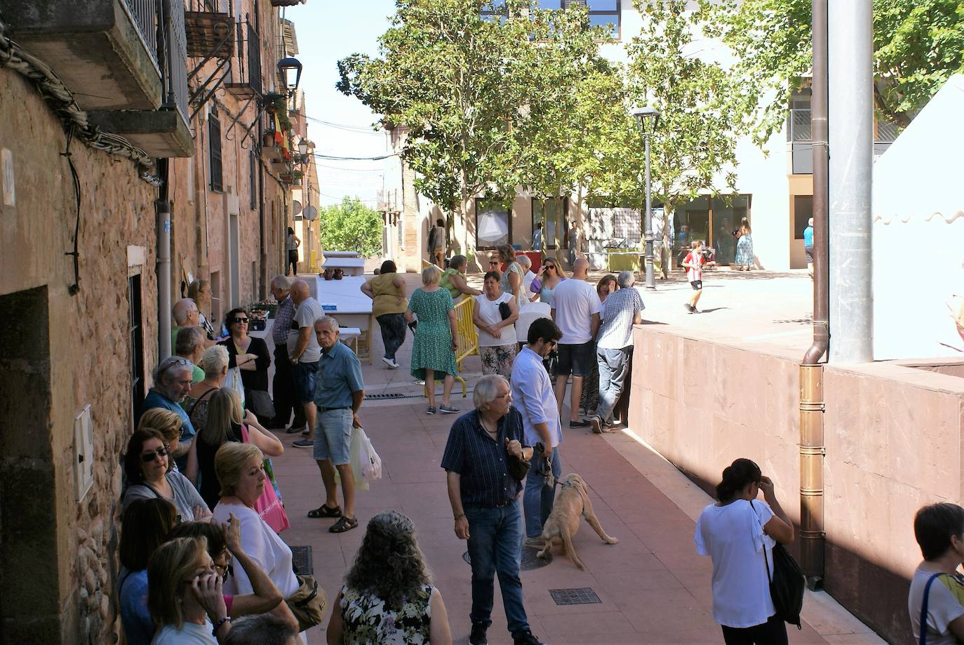 Fotos: Tricio vuelve a disfrutar de su carrera de caracoles