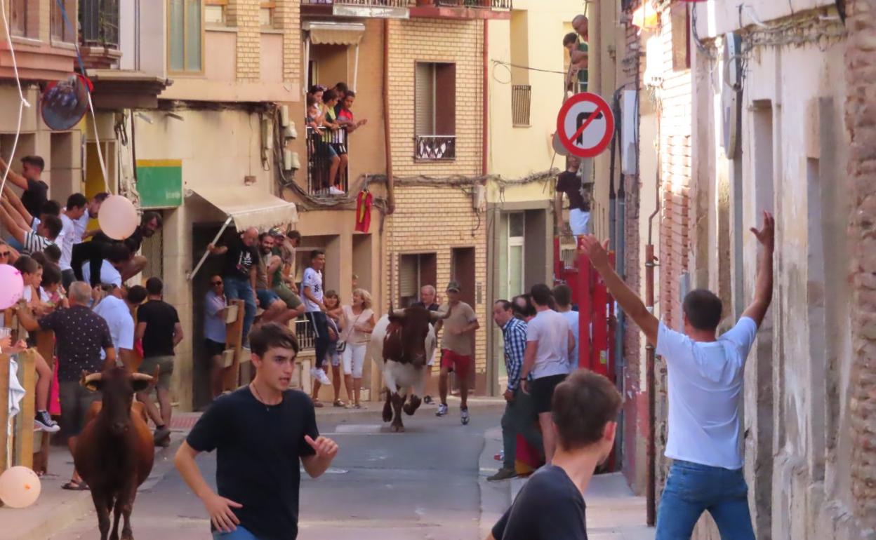 El público y los corredores buscaron todo tipo de lugares para seguir el encierro y citar a las reses. 