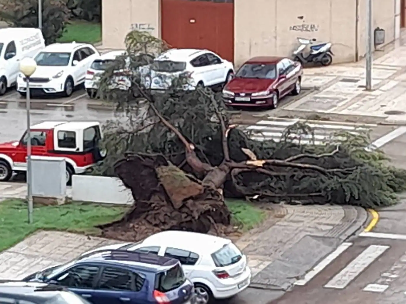 Fotos: Los daños de la tormenta en Arnedo