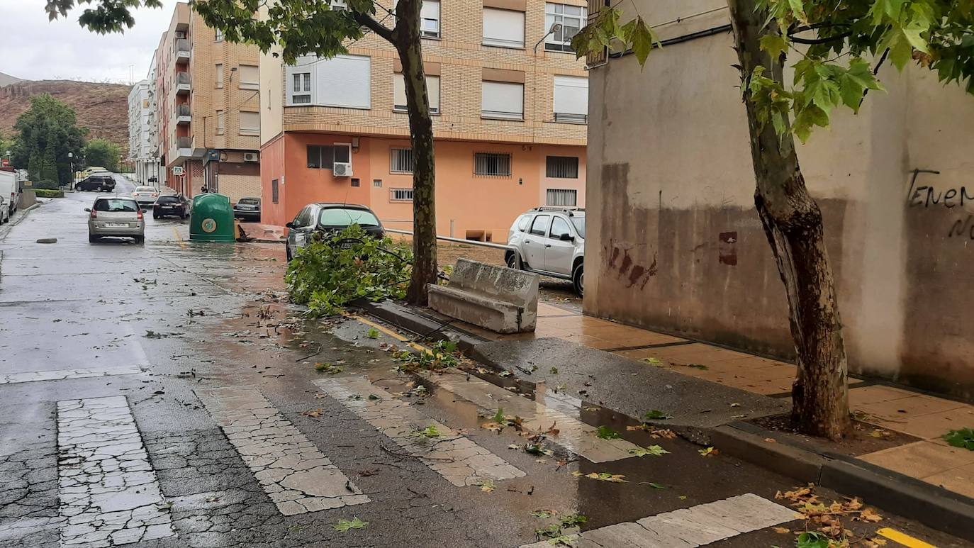 Fotos: Los daños de la tormenta en Arnedo