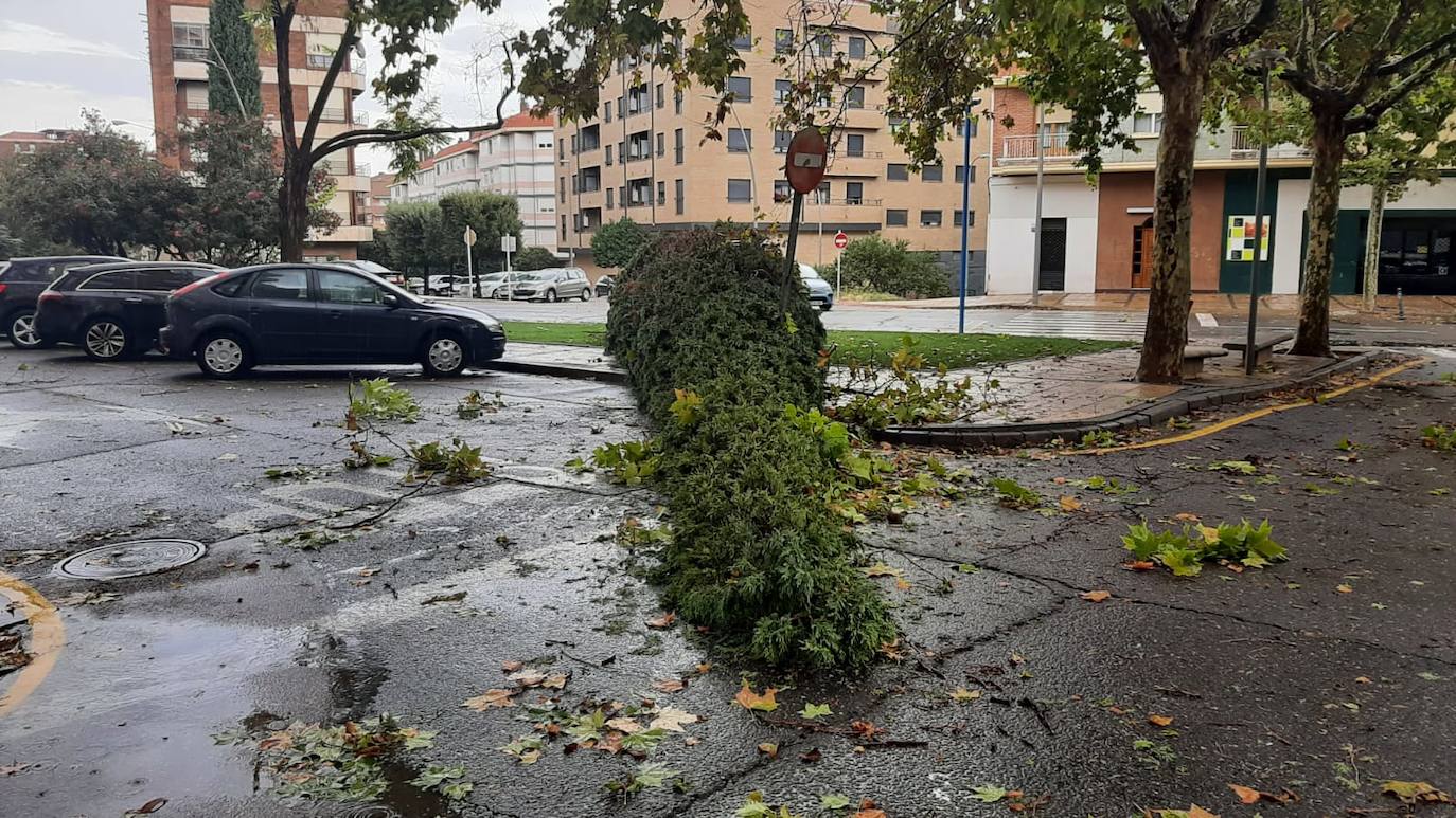 Fotos: Los daños de la tormenta en Arnedo