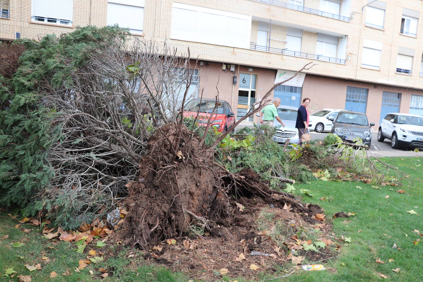 Fotos: Así ha quedado Arnedo tras la tormenta