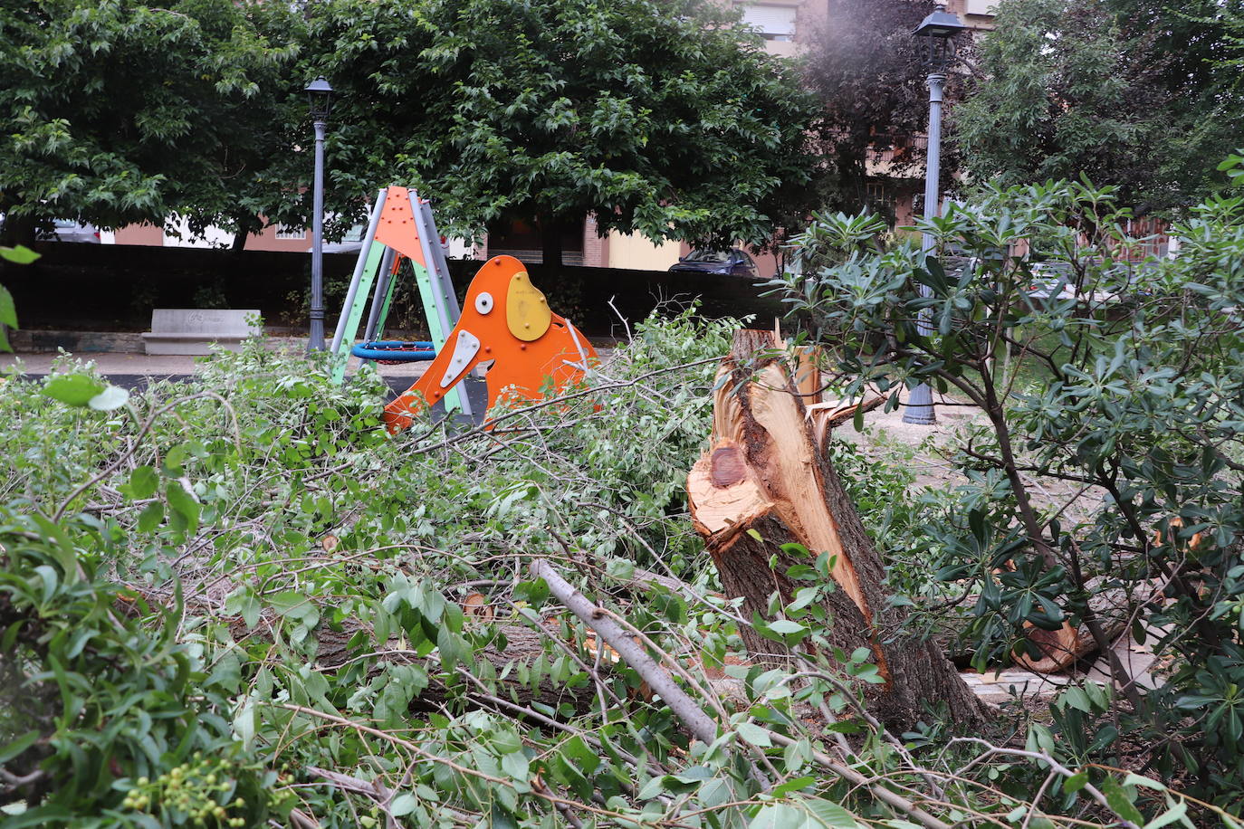 Fotos: Así ha quedado Arnedo tras la tormenta