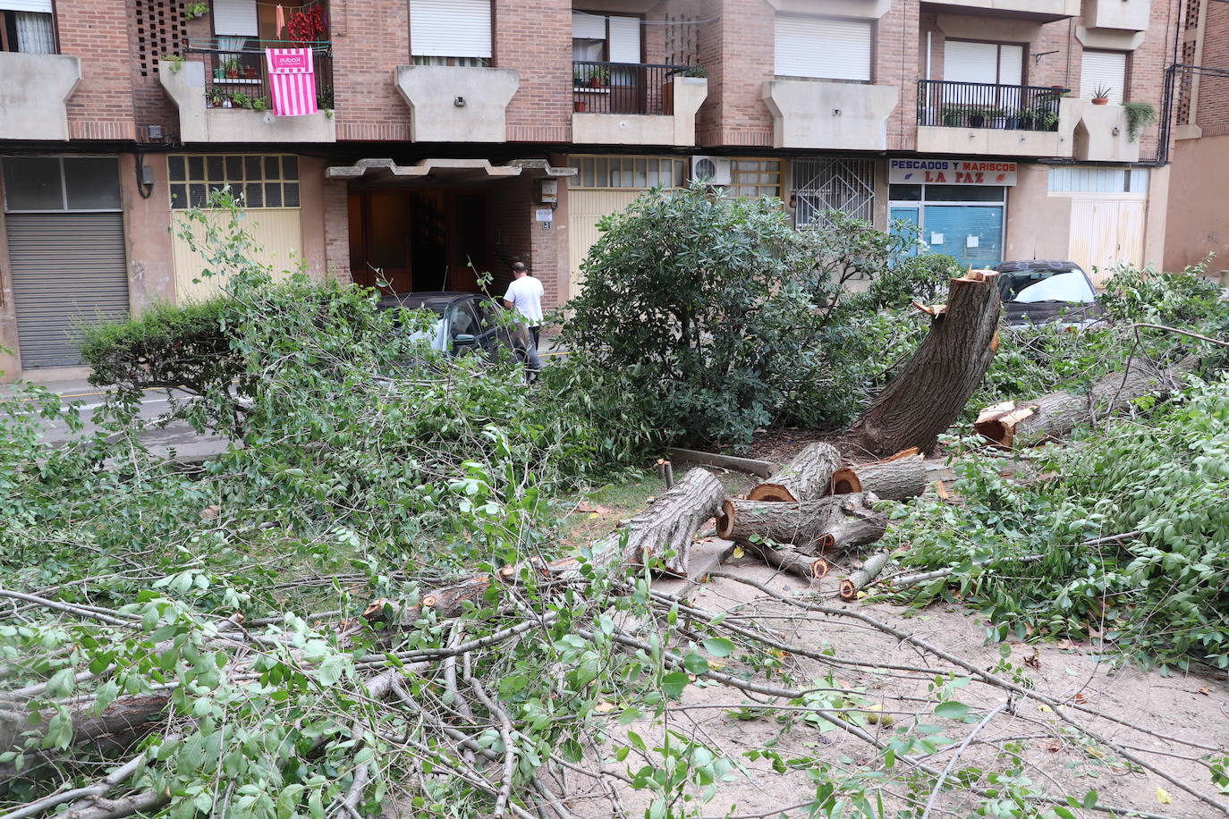 Fotos: Así ha quedado Arnedo tras la tormenta