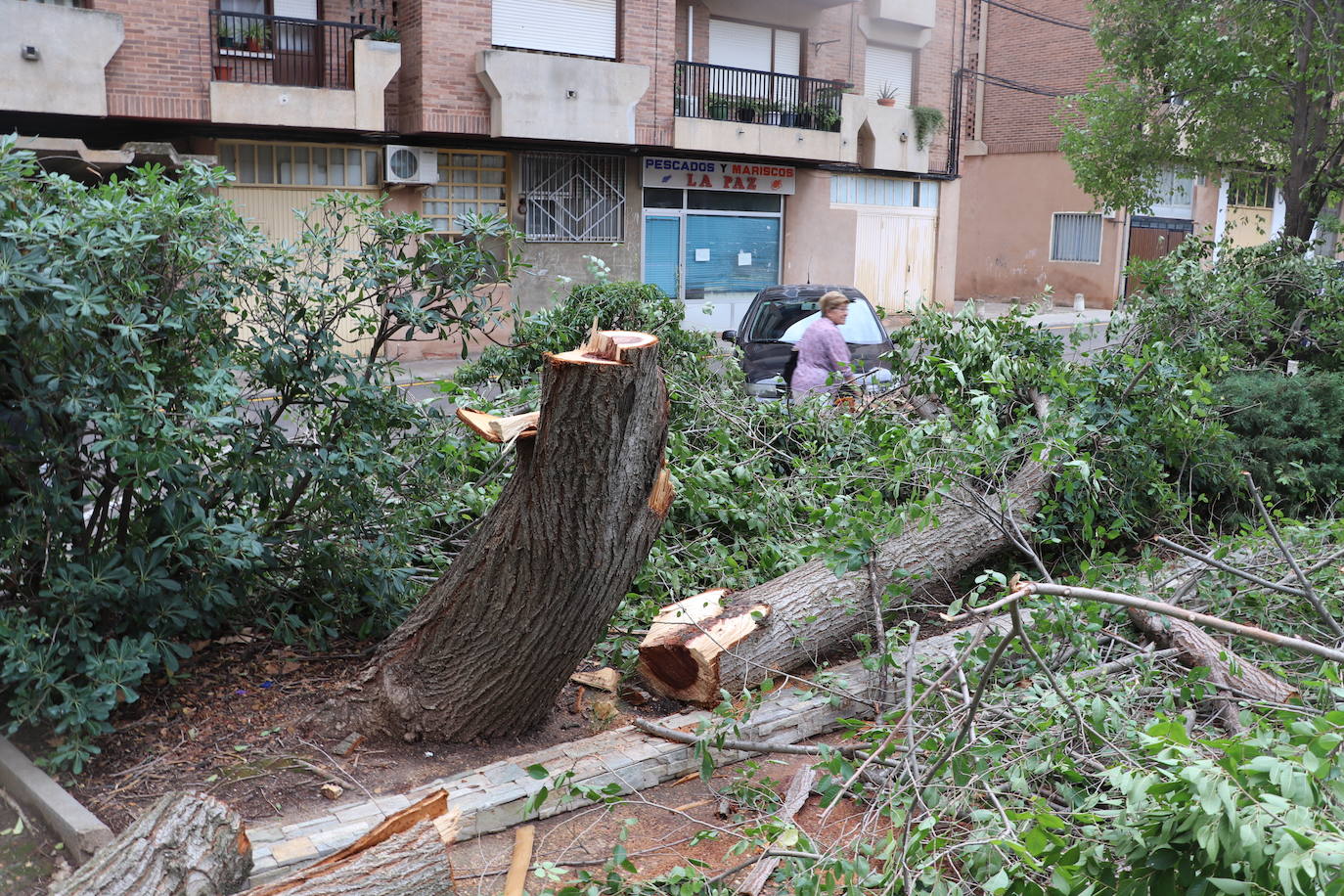 Fotos: Así ha quedado Arnedo tras la tormenta