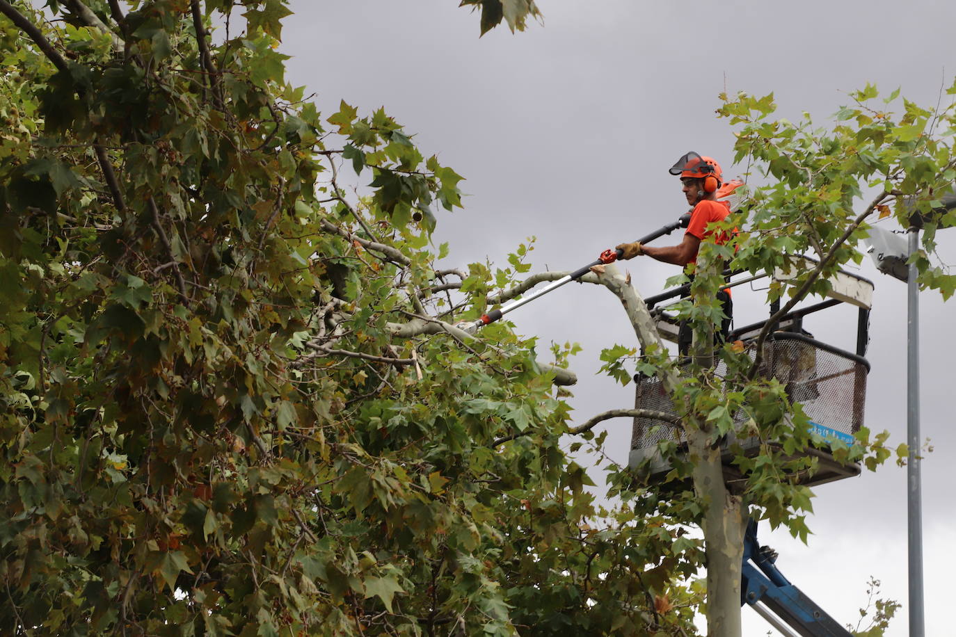 Fotos: Así ha quedado Arnedo tras la tormenta