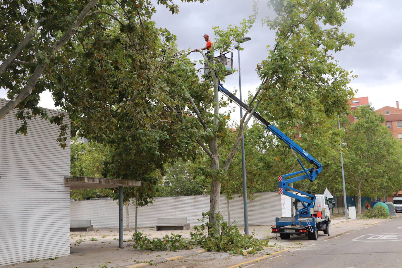 Fotos: Así ha quedado Arnedo tras la tormenta