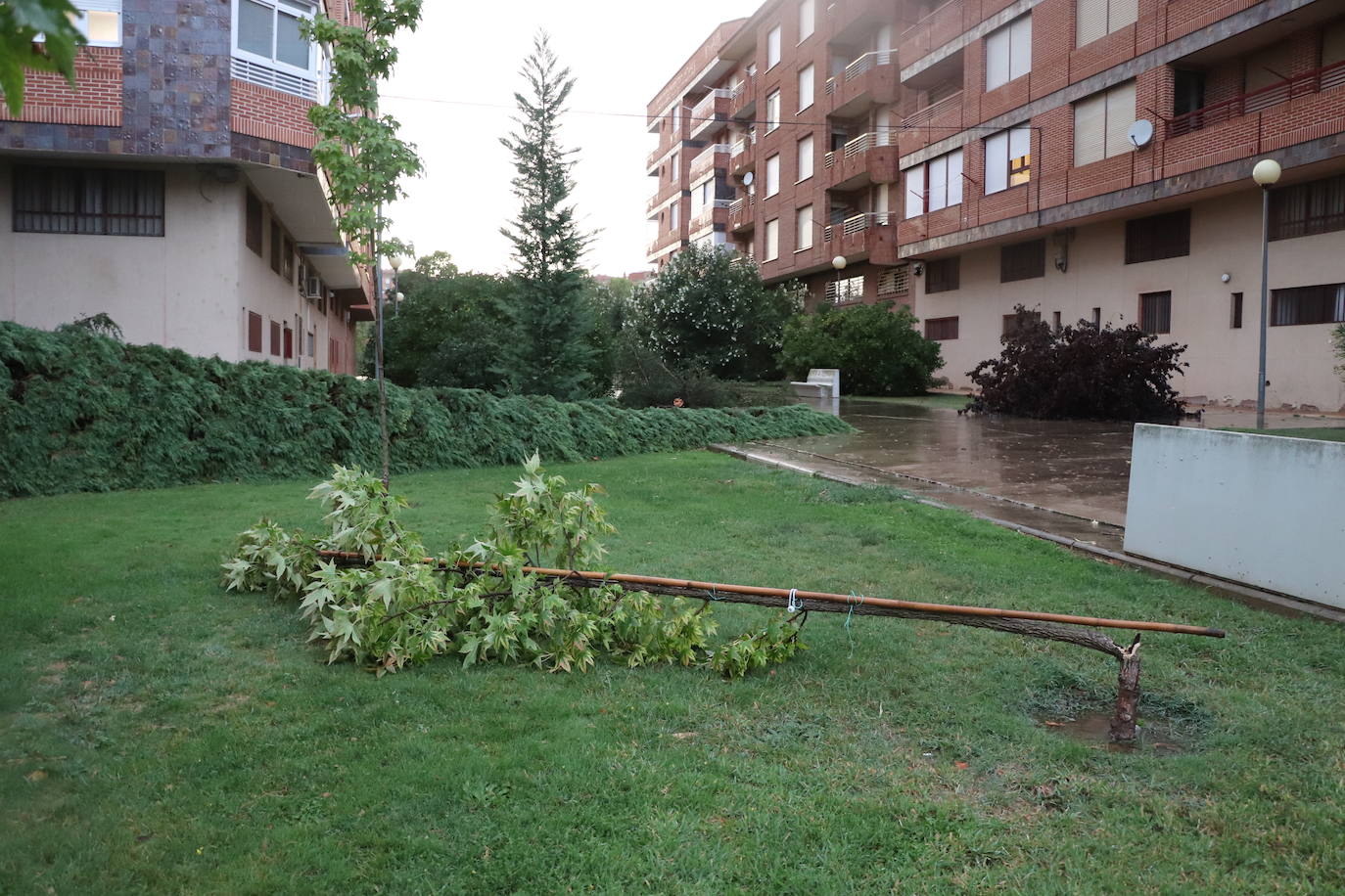 Fotos: Así ha quedado Arnedo tras la tormenta