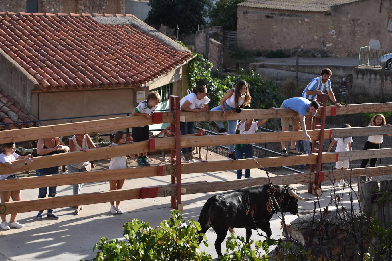 Fotos: Cabretón recupera la suelta de toros ensogados