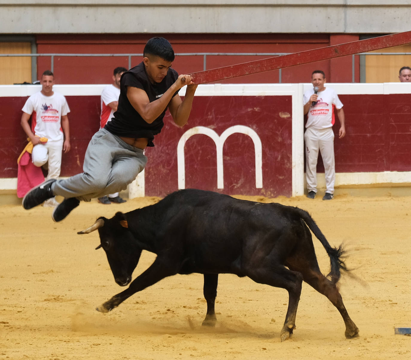 Fotos: Las vaquillas llenan La Ribera el domingo