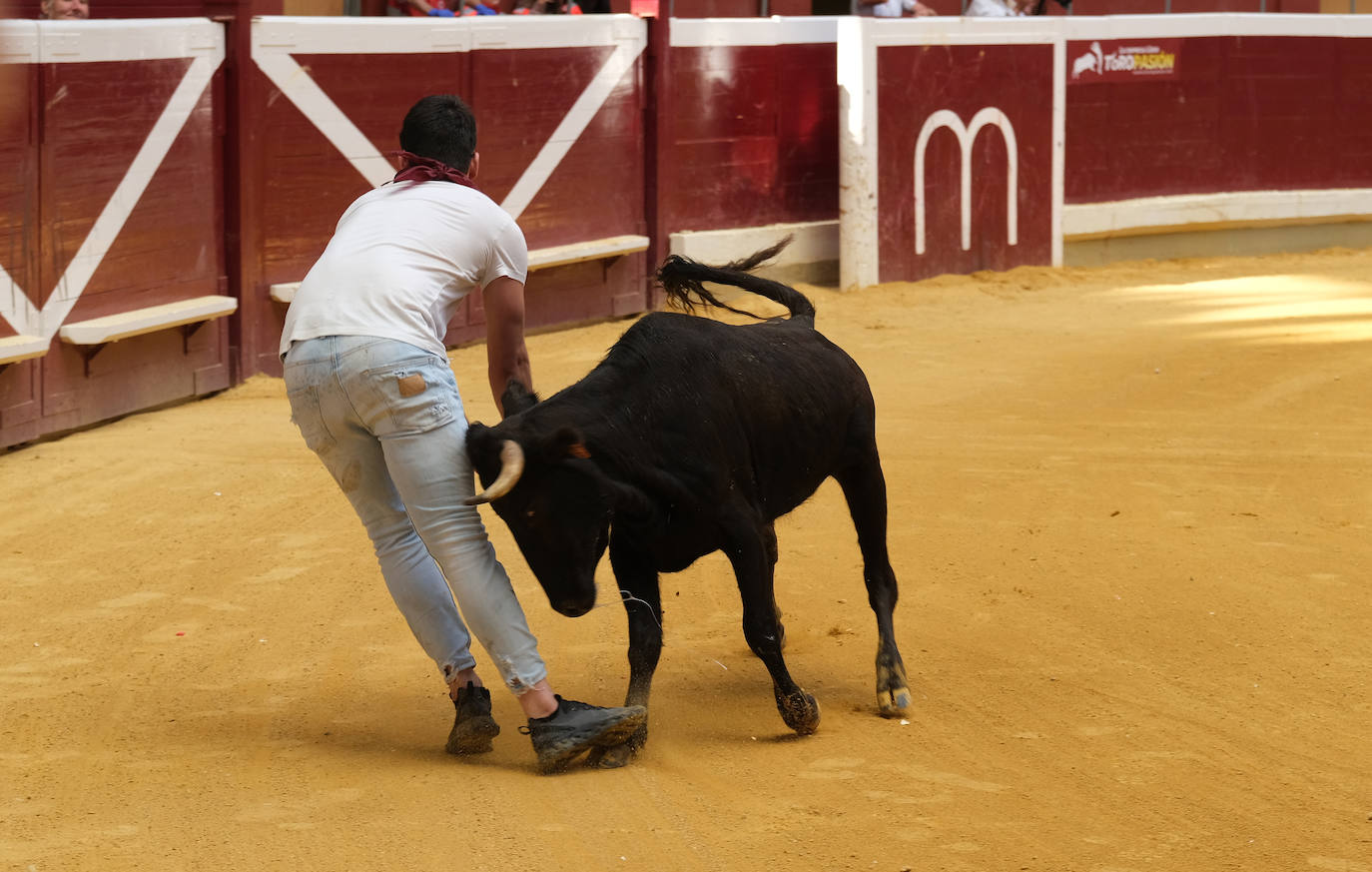 Fotos: Las vaquillas llenan La Ribera el domingo