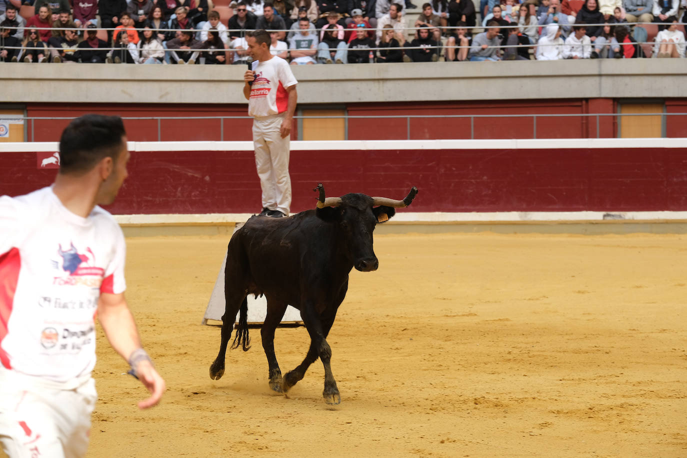 Fotos: Las vaquillas llenan La Ribera el domingo