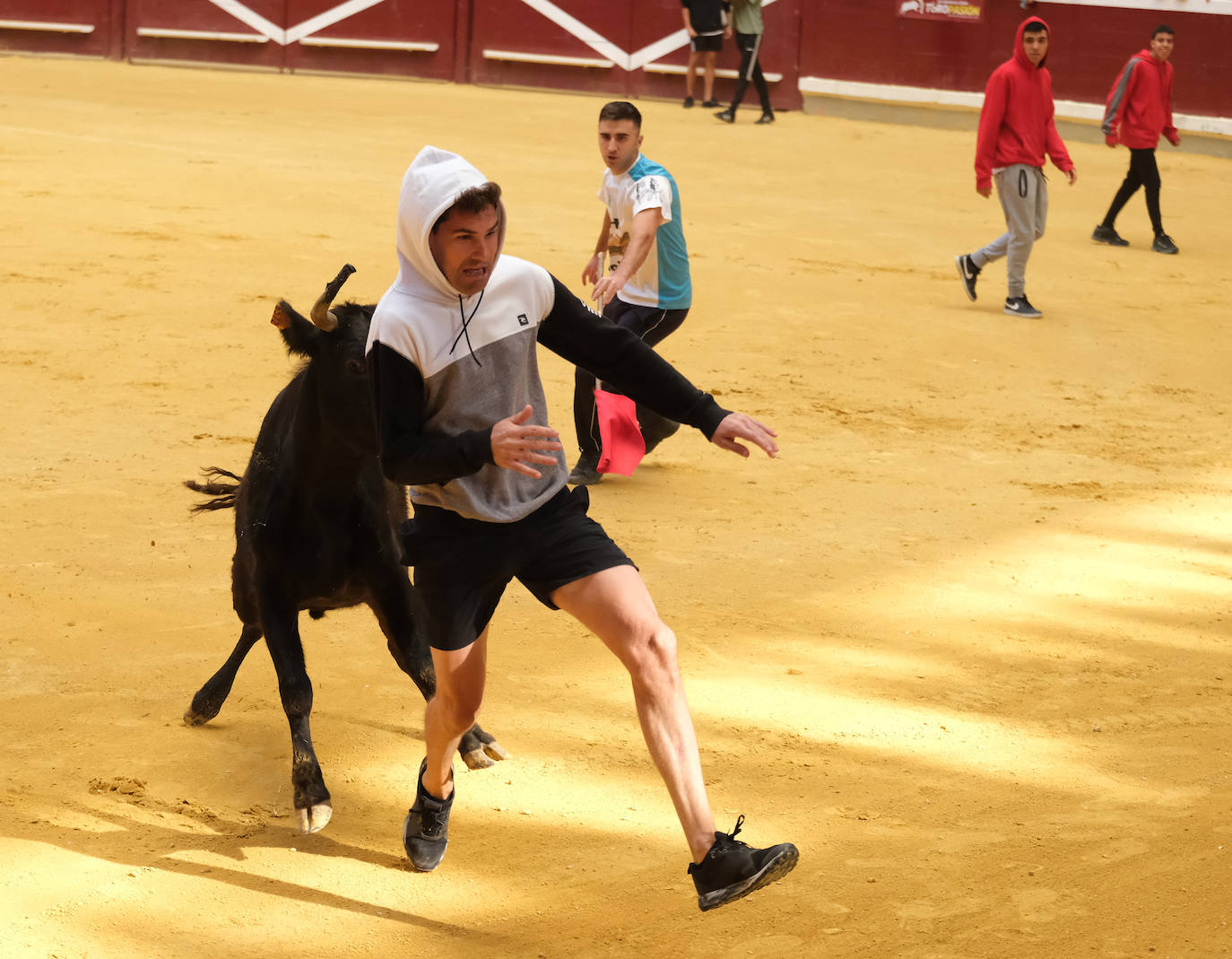 Fotos: Las vaquillas llenan La Ribera el domingo