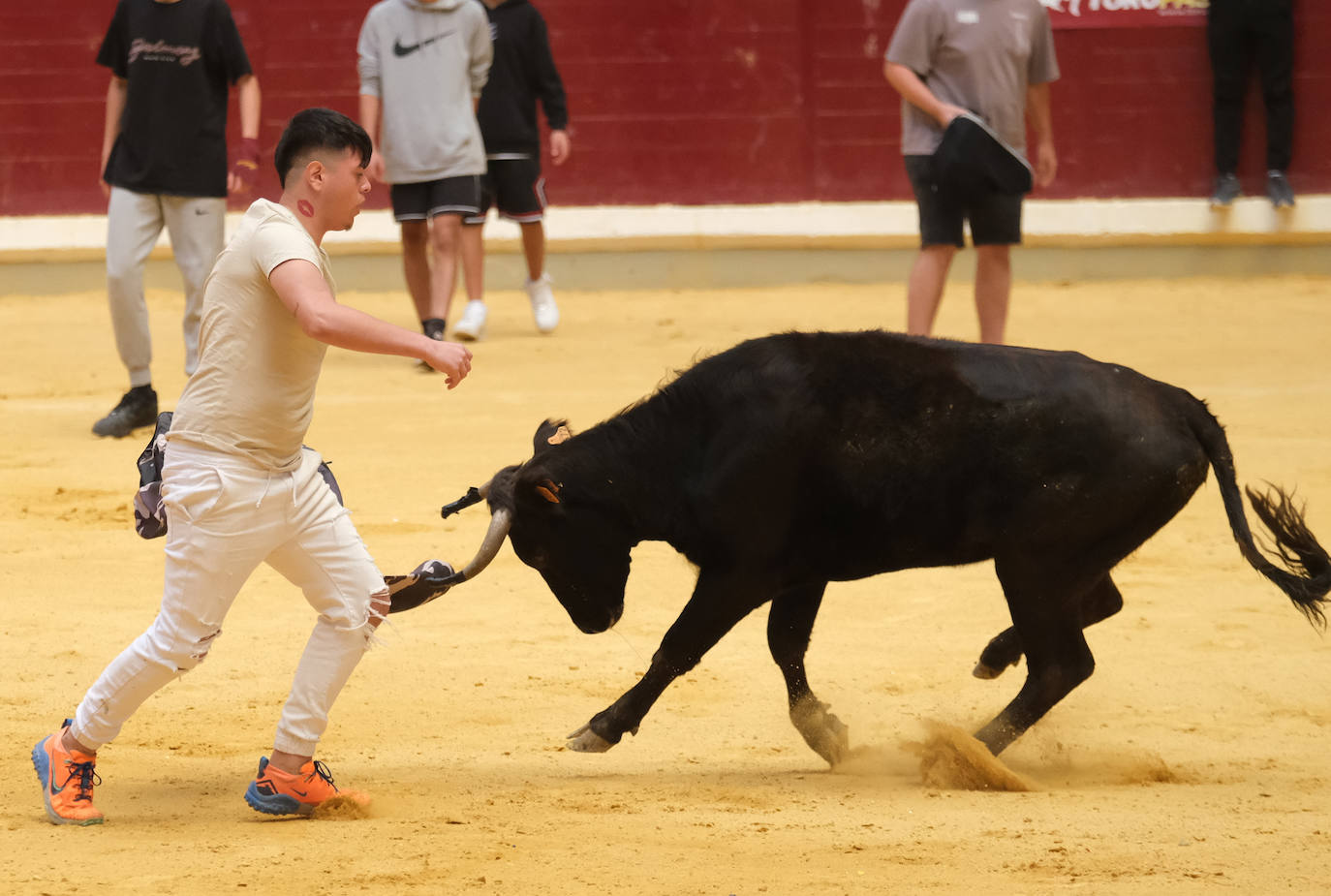 Fotos: Las vaquillas llenan La Ribera el domingo