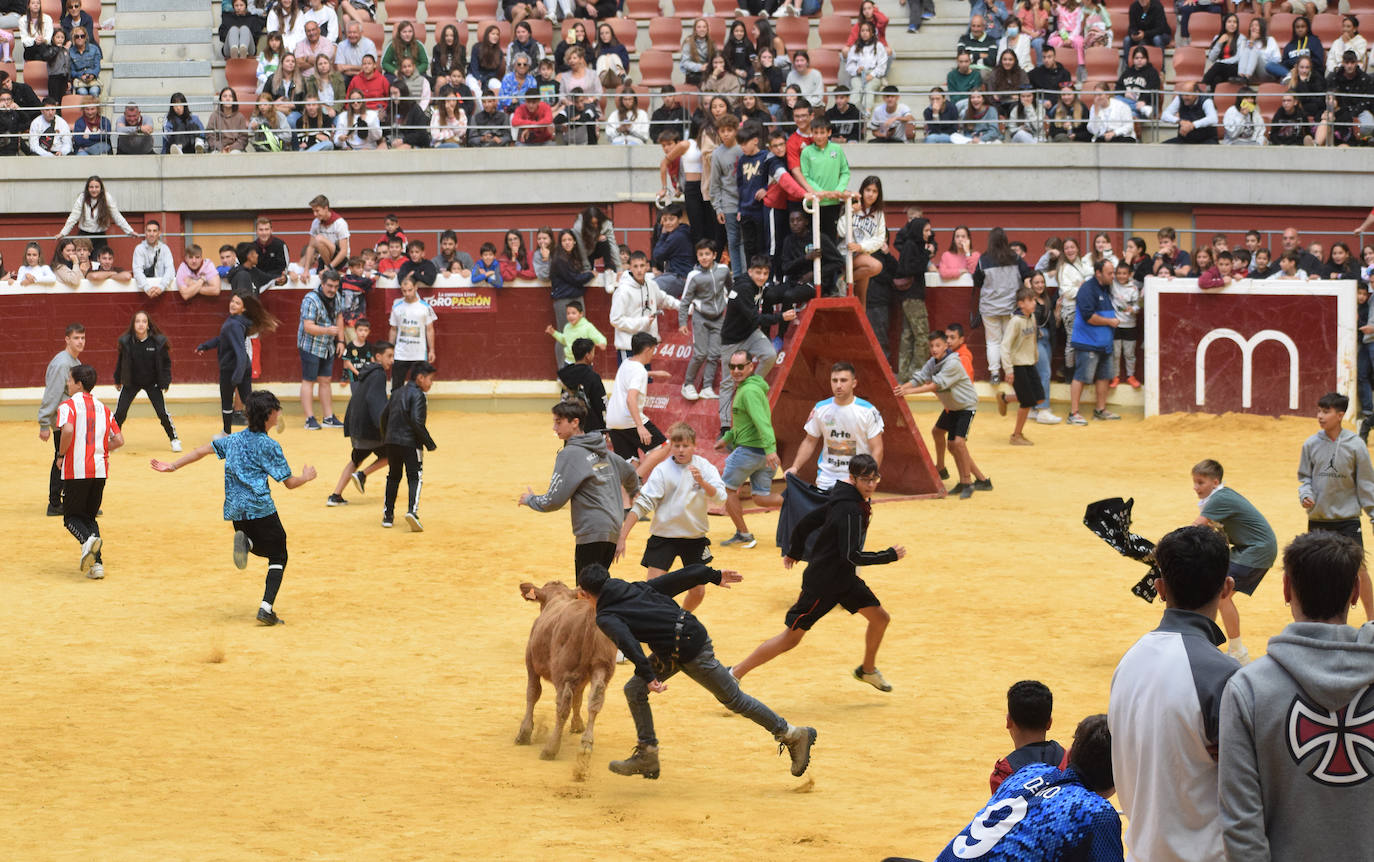 Fotos: Animación y saltos en las vaquillas del martes