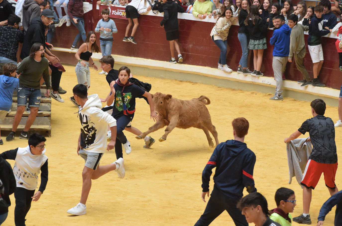 Fotos: Animación y saltos en las vaquillas del martes