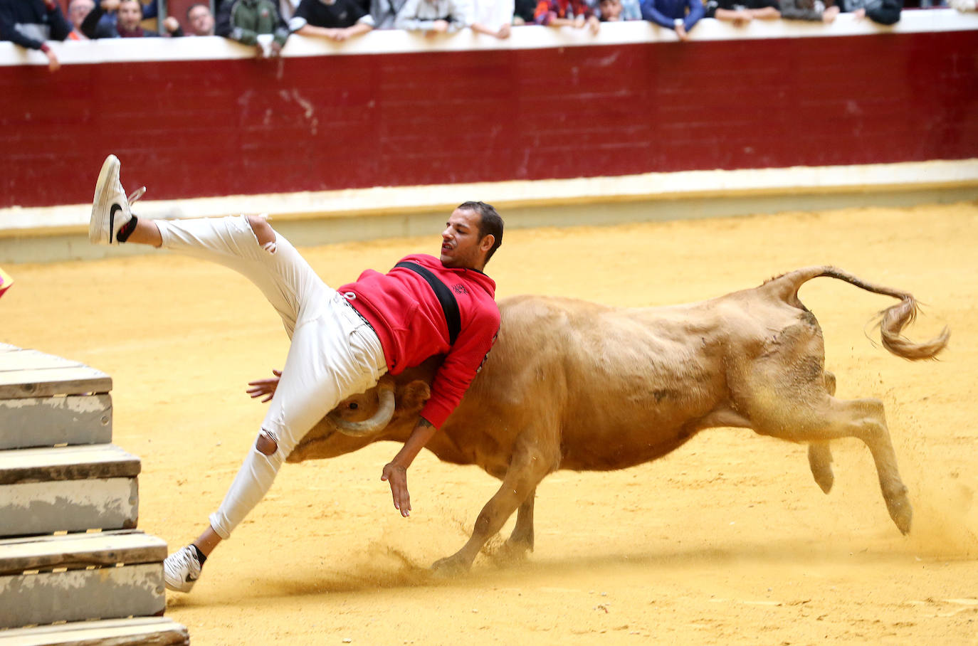 Fotos: Saltos, recortes y algunos sustos en La Ribera