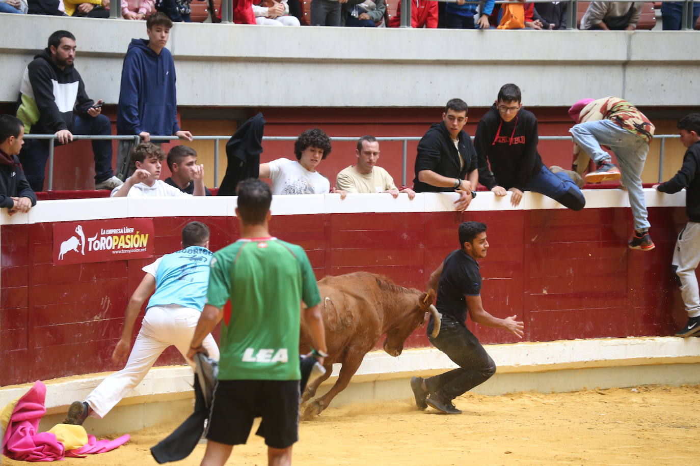 Fotos: Saltos, recortes y algunos sustos en La Ribera