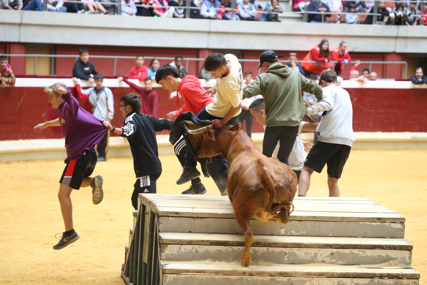 Fotos: Saltos, recortes y algunos sustos en La Ribera