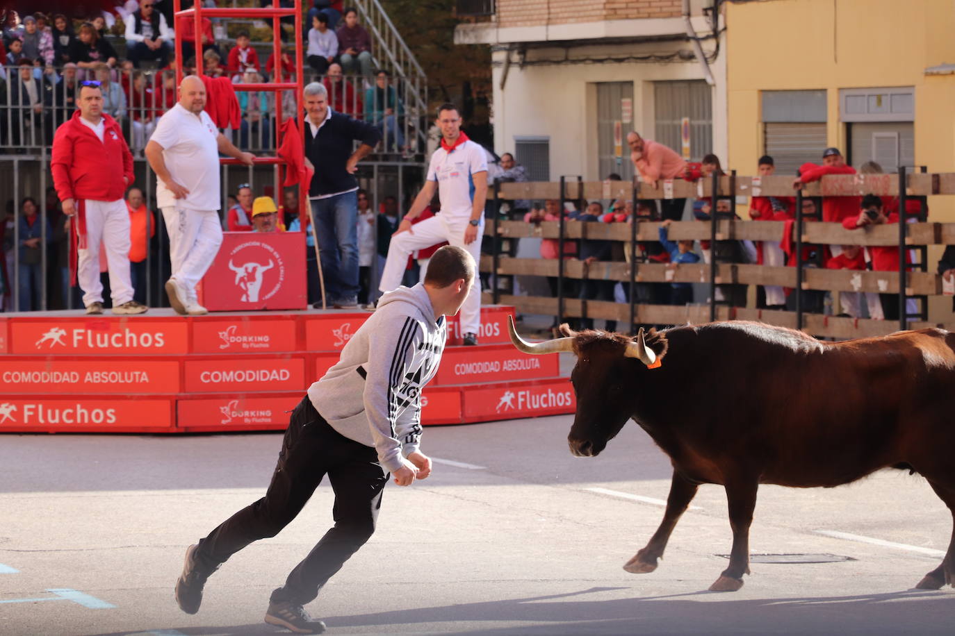 Fotos: Tercer día de fiestas en Arnedo